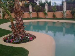 IMG-20230331-WA0066